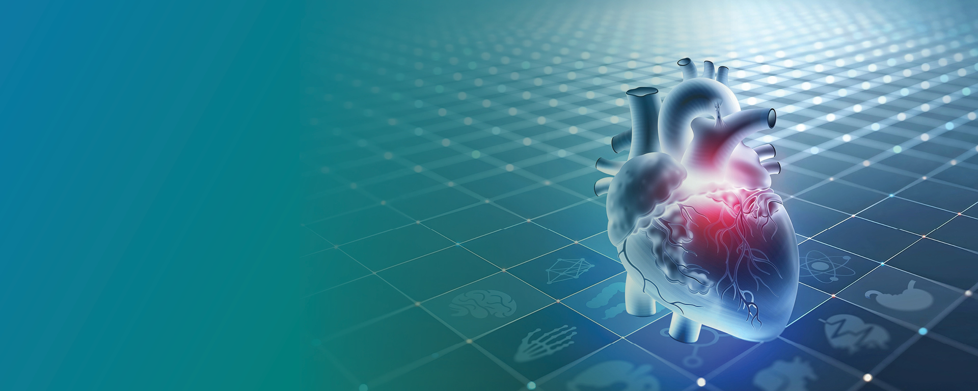 Cardiovascular Program 1st Cardiovascular Updates Conference